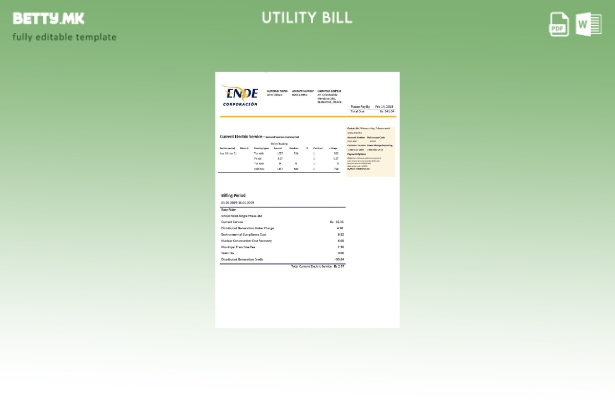 модерен стил Боливија ENDE Corporacion шаблон за комунални сметки за електрична 